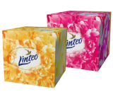 Linteo Premium papierové vreckovky 3 vrstvové 60 kusov bielej