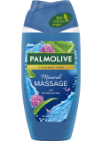 Palmolive Thermal Spa Minerálny masážny sprchový gél 250 ml