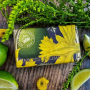 Anglické mydlo Daffodil & Lime prírodné parfumované toaletné mydlo s bambuckým maslom 240 g