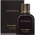Dolce & Gabbana Intenso pour Homme toaletná voda 40 ml