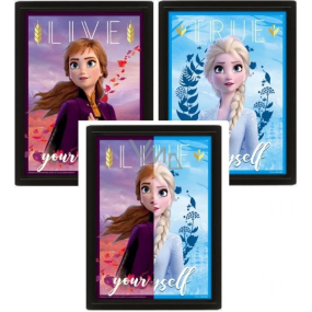 Epee Merch Disney Ice Kingdom Anna and Elsa 3D obrázok 291 x 242 x 43 mm