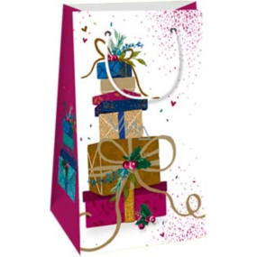 Ditipo Darčeková papierová taška 12 x 8 x 20 cm Vianočná biela - farebné darčeky