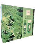 C-Thru Luminous Emerald deodorant v spreji 150 ml + sprchový gél 250 ml, kozmetická sada pre ženy