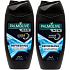 Palmolive Men Refreshing Duo 2v1 sprchový gél 2 x 250 ml