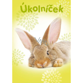 Ditipo Úlohárik ležiaci králik zošit A6