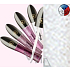 Dermacol Preferencie Lip Gloss lesk na pery 01 8,5 ml
