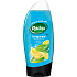 Radox Invigorate Mäta a citrusový olej 2v1 sprchový gél a šampón 250 ml