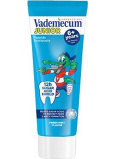 Vademecum Junior Spearmint zubná pasta pre deti od 6 rokov 75 ml