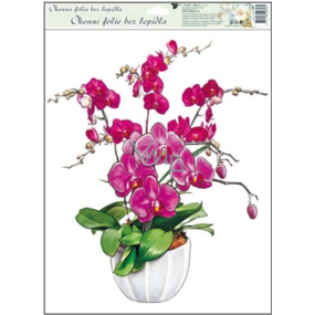 Okenné fólie bez lepidla orchidey tmavo ružová 42 x 30 cm