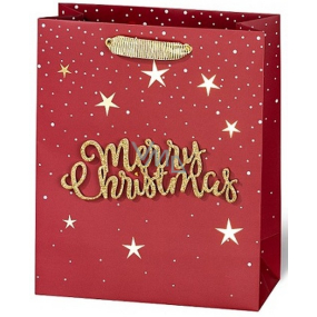 BSB Luxusná darčeková papierová taška 23 x 19 x 9 cm Vianočný s 3D nápisom Merry Christmas VDT 004-A5