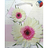 Nekupto Darčeková papierová taška 14 x 11 x 6,5 cm Gerbera 1 kus T083