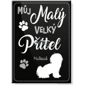 Nekupto Pets magnet Maltézsky psík 66 x 90 x 2 mm