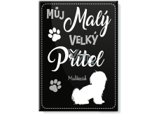 Nekupto Pets magnet Maltézsky psík 66 x 90 x 2 mm