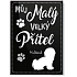 Nekupto Pets magnet Maltézsky psík 66 x 90 x 2 mm