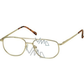 Berkeley Čítacie dioptrické okuliare +2 zlatej veľké MC2 1 kus