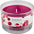 Bolsius Aromatic Wild Cranberry - Divoká Brusnica vonná sviečka v skle 90 x 65 mm 247 g doba horenia cca 30 hodín