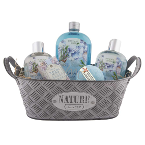 Bohemia Gifts Dead Sea Mŕtve more, Extrakt z morských rias a soľou sprchový gél 250 ml + vlasový šampón 250 ml + toaletné mydlo 100 g + pena do kúpeľa 500 ml + šumivé bomba + plechový box pre dekoráciu v domácnosti, darčeková ošatka