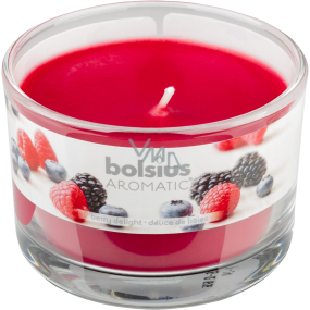Bolsius Aromatic Berry Delight - Rozkošné bobule vonná sviečka v skle 90 x 65 mm 247 g doba horenia cca 30 hodín