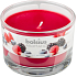 Bolsius Aromatic Berry Delight - Rozkošné bobule vonná sviečka v skle 90 x 65 mm 247 g doba horenia cca 30 hodín