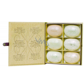 Bronnley herbár Arnika + Mäta + Nechtík + Šípky + Jarabina + Tymián sada mydiel 6 x 50 g
