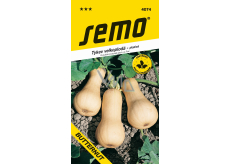 Semená maslovej tekvice 2 g