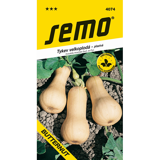Semo Tekvica Butternut muškátová plazivá 2 g