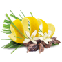 Apotheke Natur Citronela a kardamon bylinný čaj 20 nálevových vrecúšok x 2 g