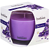 Bolsius True Scents Lavender - sviečka s vôňou levandule v skle 95 x 95 mm, doba horenia 43 hodín