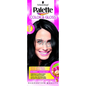 Palette Color & Gloss farba na vlasy 1 - 0 Čierna pralinka