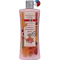 Bohemia Gifts Castanum Extrakt z pagaštanu konského regeneračná kúpeľová pena 500ml