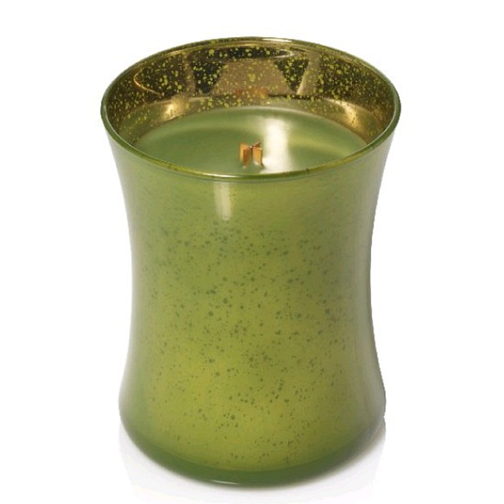 Woodwick Evergreen - Vôňa ihličia vonná sviečka s dreveným knôtom a viečkom sklo stredné 275 g Festina Joy limited 2018