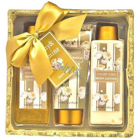 Salsa Collection Luxury Gold Pivoňka a Jazmín sprchový gél 170 ml + telové mlieko 170 ml + pena do kúpeľa 150 ml + flitrový box, kozmetická sada