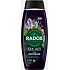 Radox Men Feel Recovered 2v1 sprchový gel a šampon pre mužov 450 ml