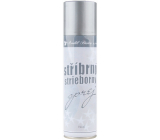 Silver Dekoračné sprej Strieborný 150 ml