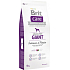 Brit Care Grain-free Losos + zemiakov bezobilné krmivo pre dospelých psov obrích plemien 12 kg