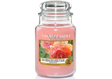 Yankee Candle Sun Drenched Apricot Rose - vyšúchaný marhuľová ruža vonná sviečka Classic veľká sklo 623 g