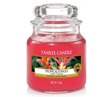 Yankee Candle Tropical Jungle - Tropická džungľa vonná sviečka Classic malá sklo 104 g