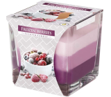 Bispol Frozen Berries - Trojfarebná vonná sviečka Frozen Berries, čas horenia 32 hodín 170 g