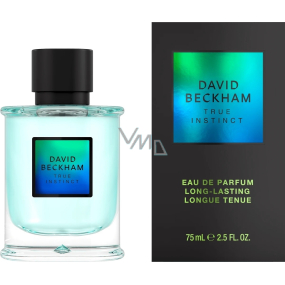 David Beckham True Instinct parfumovaná voda pre mužov 75 ml