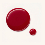 Catrice ICONails Gelový lak na nechty 169 Raspberry Pie 10,5 ml