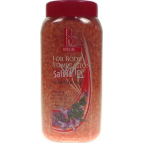 Bohemia Gifts Šalvia relaxačná soľ do kúpeľa so šalviou 900 g