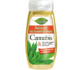 Bione Cosmetics Cannabis šampón na mastné vlasy 260 ml