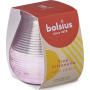 Bolsius True Citronella repelentná sviečka v ružovom skle 91 x 94 mm 1 kus