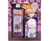 Bohemia Gifts Lavender šampón na vlasy 250 ml + soľ do kúpeľa v plátenom sáčku 200 g, kozmetická sada