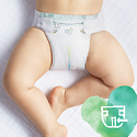 Pampers Pure Protection veľkosť 3, od 6-10 kg plienkové nohavičky 31 kusov