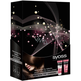 Syoss Supreme Revive šampón 250 ml + vlasový kondicionér 250 ml, kozmetická sada