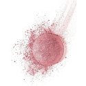 Bourjois Fard Pastel Joues lícenka 54 Rose Frisson 2,5 g