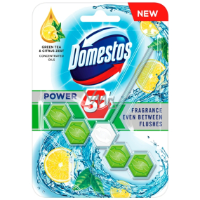 Domestos Power 5 Green Tea & Citrus Wc pevný blok 55 g