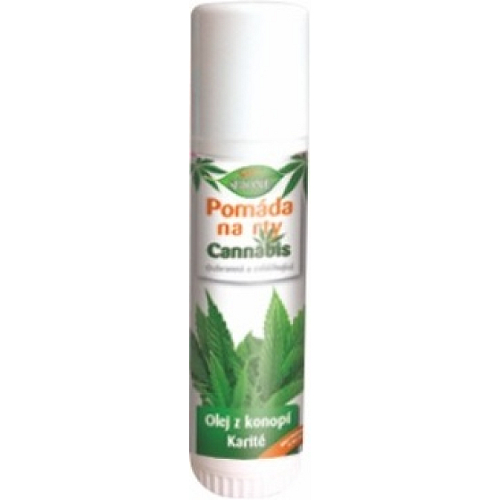 Bione Cosmetics Cannabis pomáda na pery 5 ml