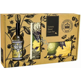 English Soap Narcissus Lime - Narcis a limetka prírodné parfumované toaletné mydlo s bambuckým maslom 240 g + krém na ruky 75 ml + dezinfekčný prípravok na ruky 100 ml, kozmetická sada pre ženy